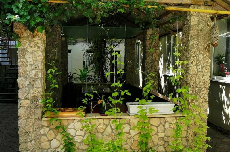 Гостевой дом «Ксения»