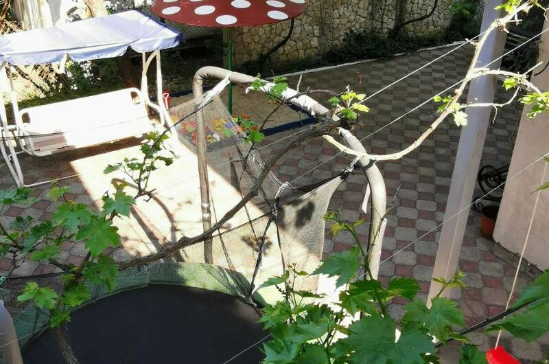 Гостевой дом «Ксения»