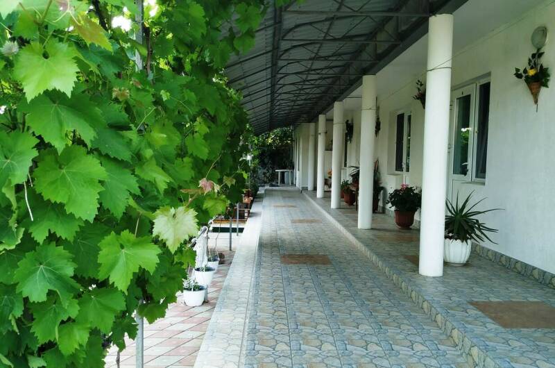 Гостевой дом «ViVa»