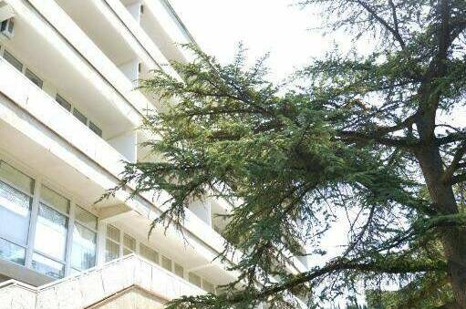 Гостиница «Адмирал Ялта»