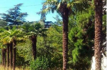 Гостиница «Адмирал Ялта»