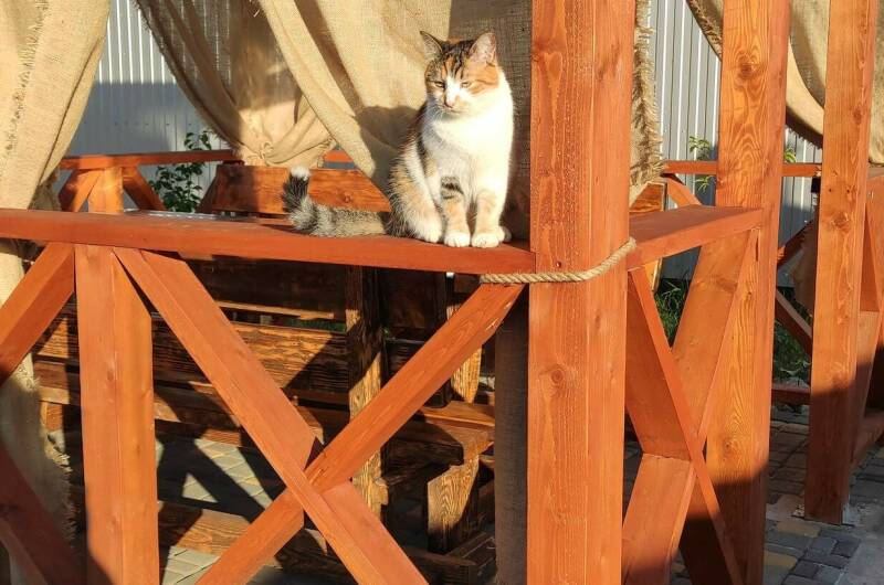 Эко-отель «Миланд»