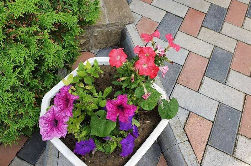 Гостевой дом «Барабулька»