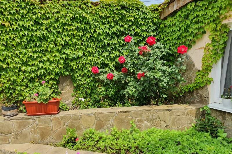 Гостевой дом «Барабулька»