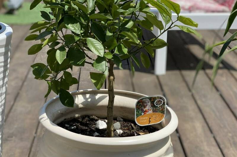 Guest Home «Paradise»