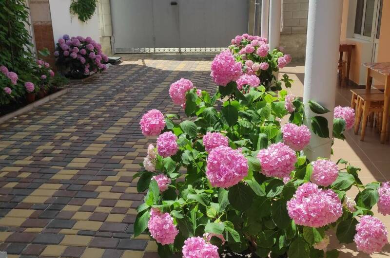 Гостевой дом «Велиза»