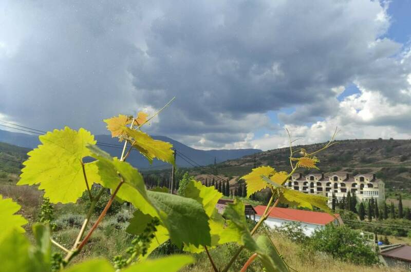 Гостевой дом «Велиза»