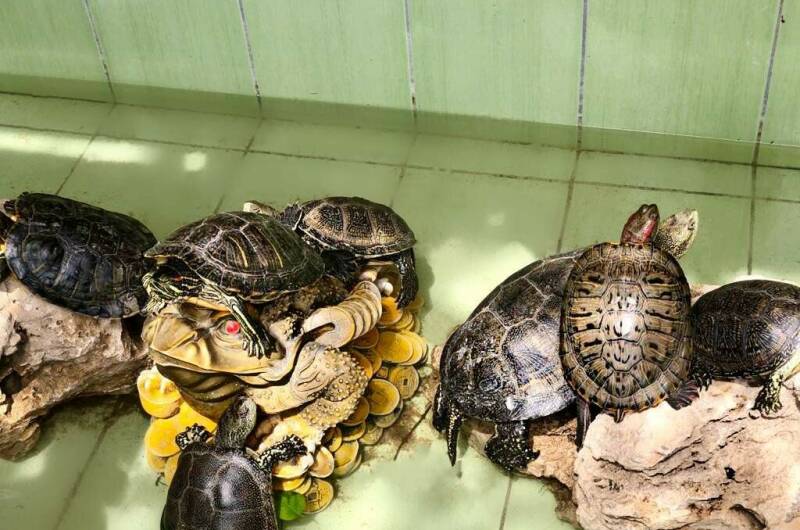 Гостевой дом «Уют»