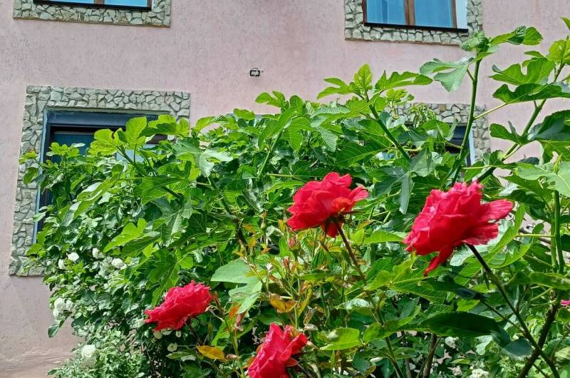 Дом под ключ на Стамова