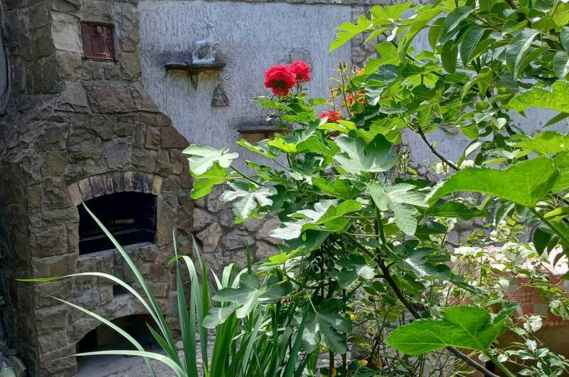 Дом под ключ на Стамова