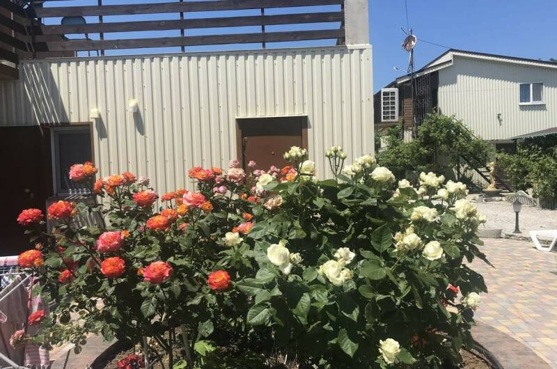 Гостевой дом «Бон Вояж»