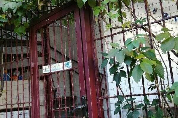 Гостевой дом «Hot-Alushta»