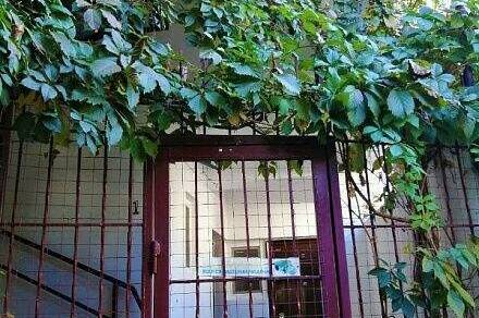 Гостевой дом «Hot-Alushta»