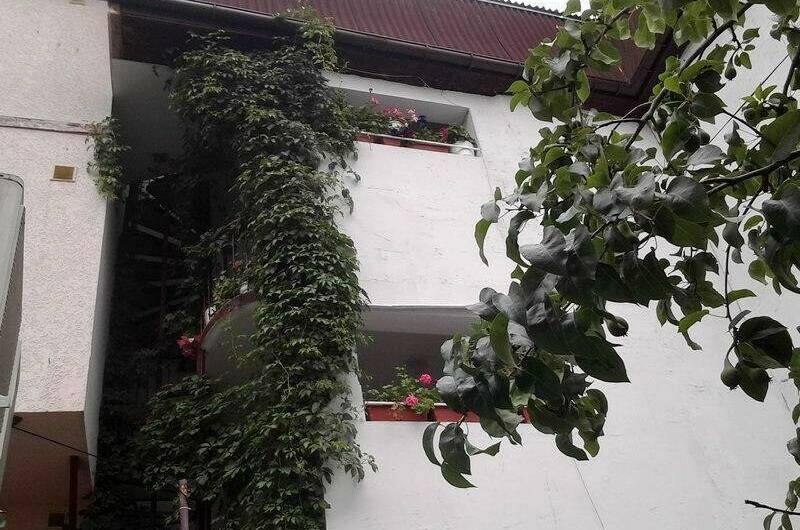 Гостевой дом «Hot-Alushta»