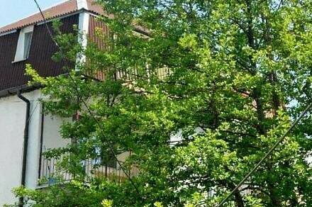 Гостевой дом «Hot-Alushta»