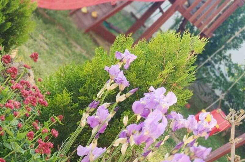 Семейный пансионат «Соната»