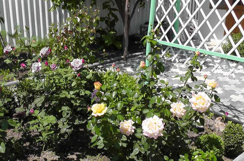 Гостевой дом «Море»