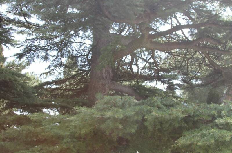 Апартаменты с бассейном «Respect Bashnya»