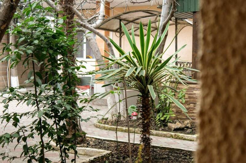 Гостевой дом «Никита»