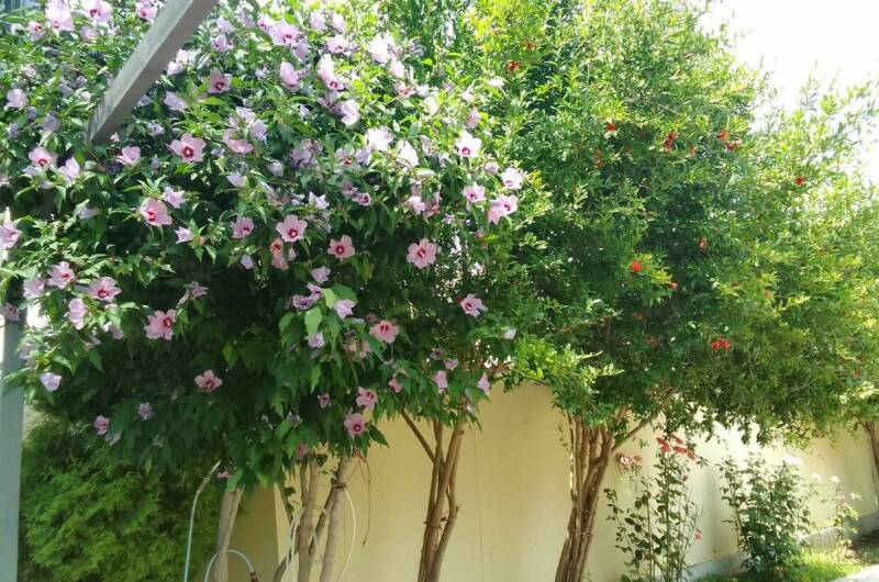 Гостевой дом «У грека»