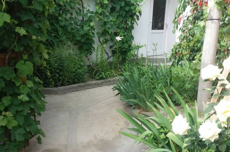 2-х комнатный дом «Южнобережный»