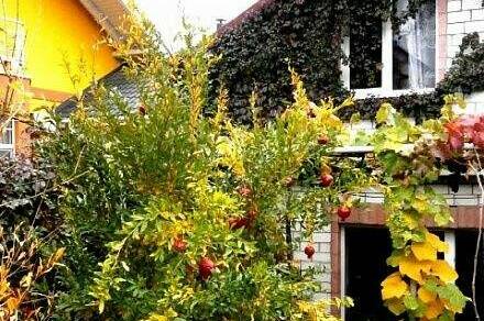 Гостевой дом «Шанс»