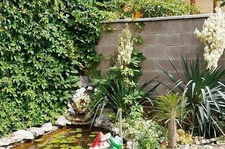 Гостевой дом «Шанс»