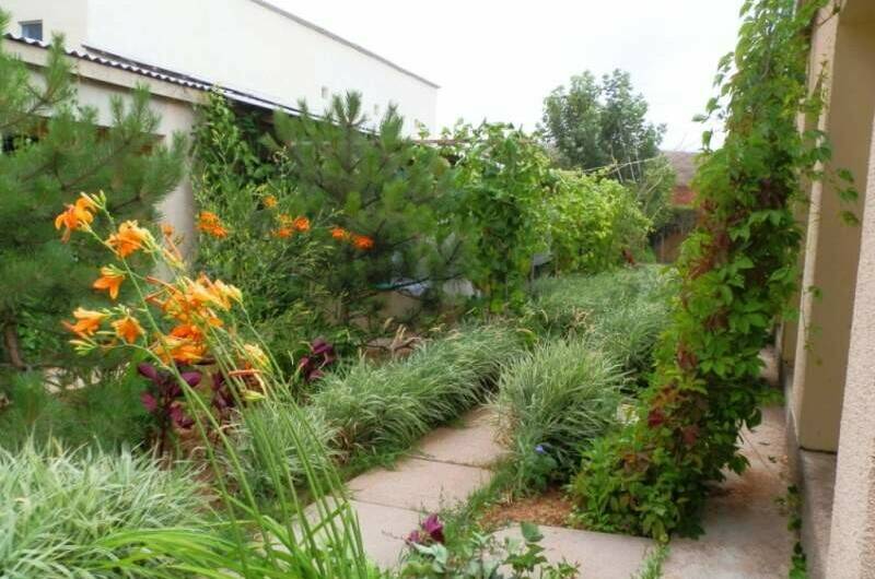 Гостевой дом «Дача у моря»