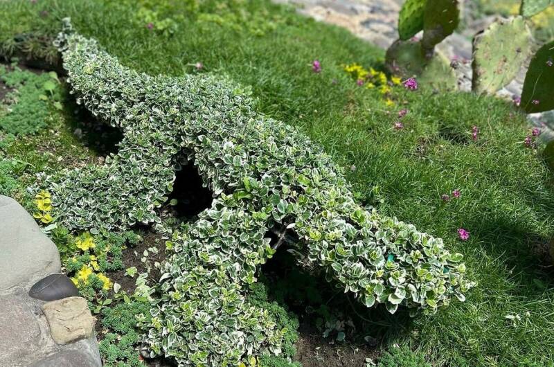 Отель «Лоза»