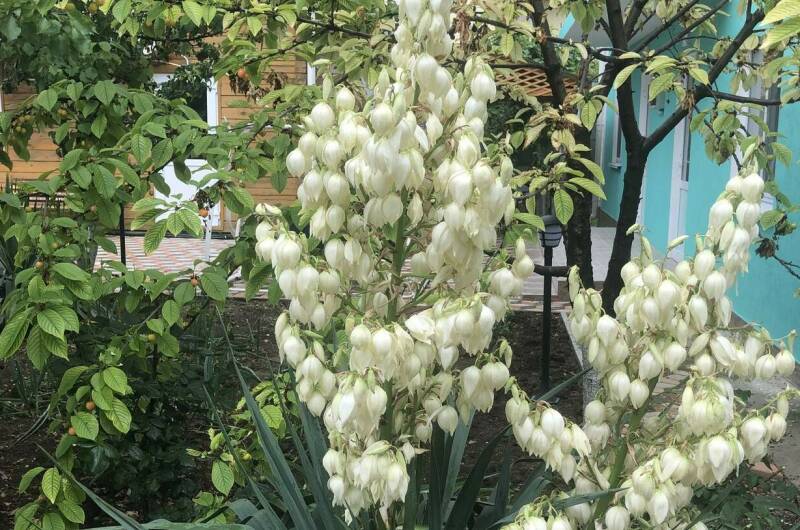 Гостевой дом на Интернациональной