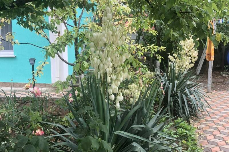 Гостевой дом на Интернациональной