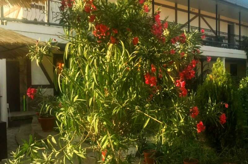 Гостевой дом «Муравейник»