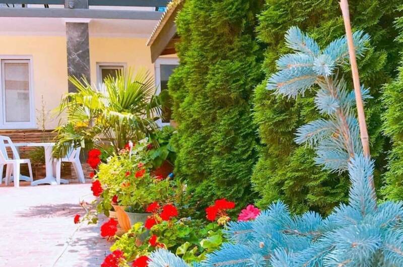 Гостевой дом «Адель»