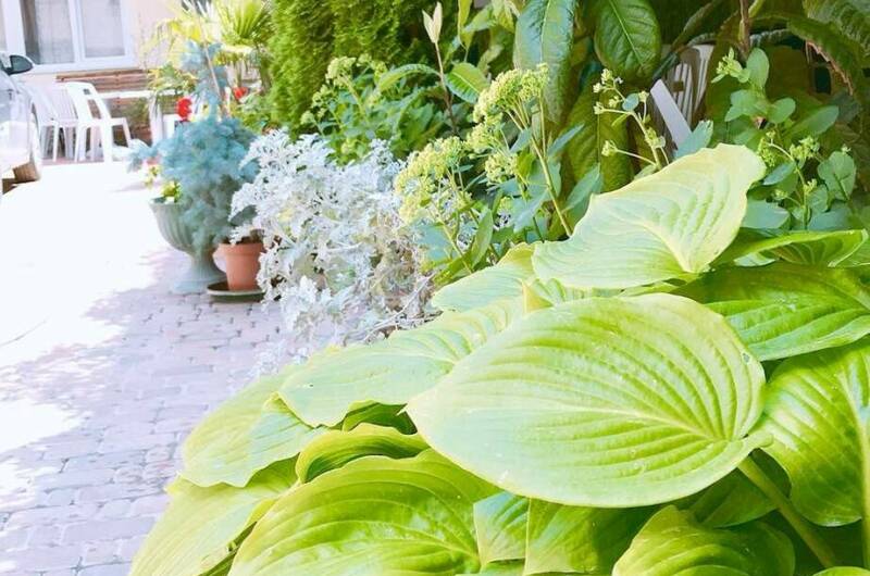 Гостевой дом «Адель»