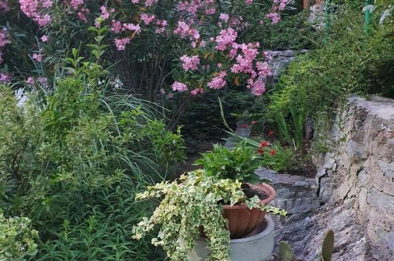 Гостевой дом «Райский уголок»