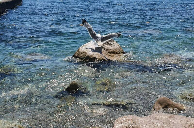 Гостевой дом «Райский уголок»