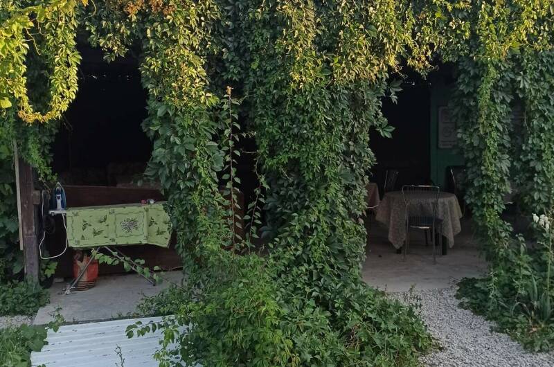 Гостевой дом «У Алима»