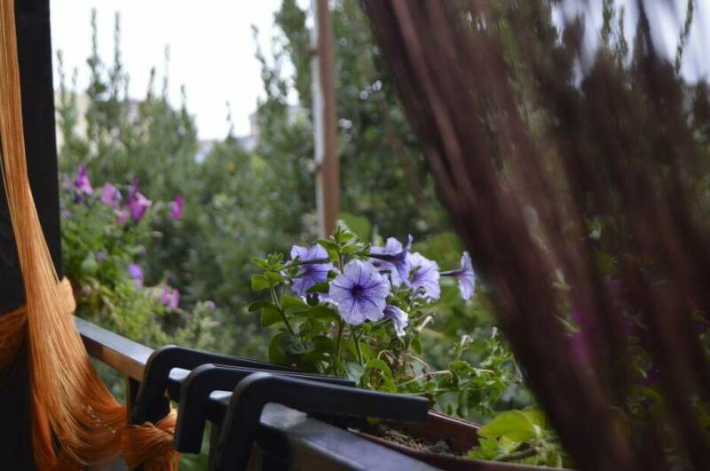 Гостевой дом на Школьной