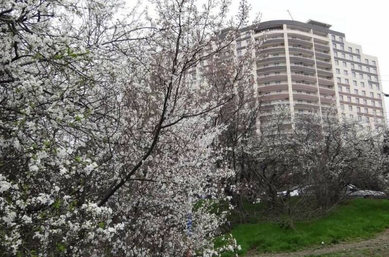 Апартаменты «ЖК Алмаз»