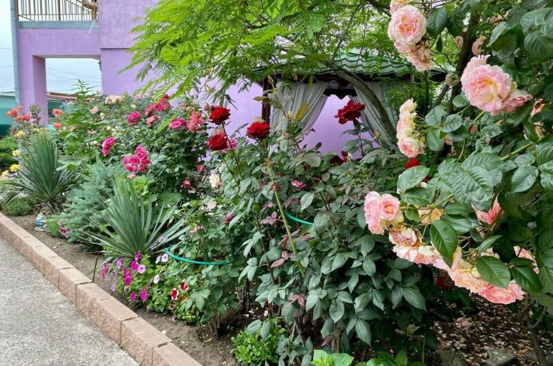 Гостевой дом «Фортуна»