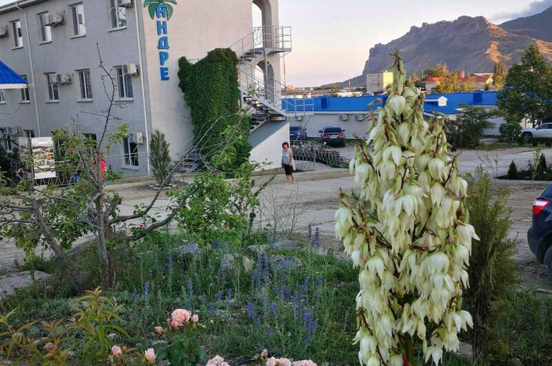 База отдыха «Андре»