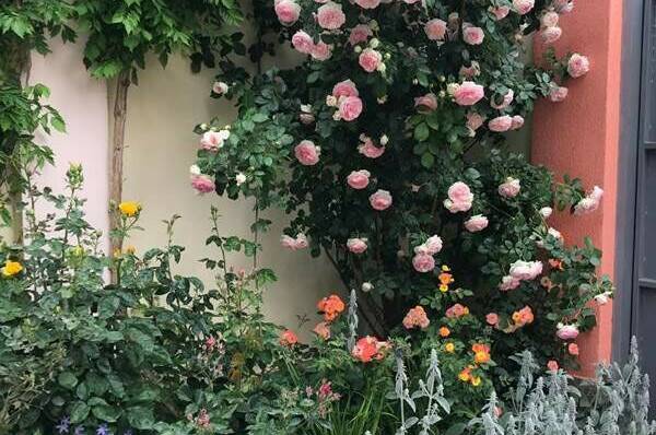 Гостевой двор «Шарм»