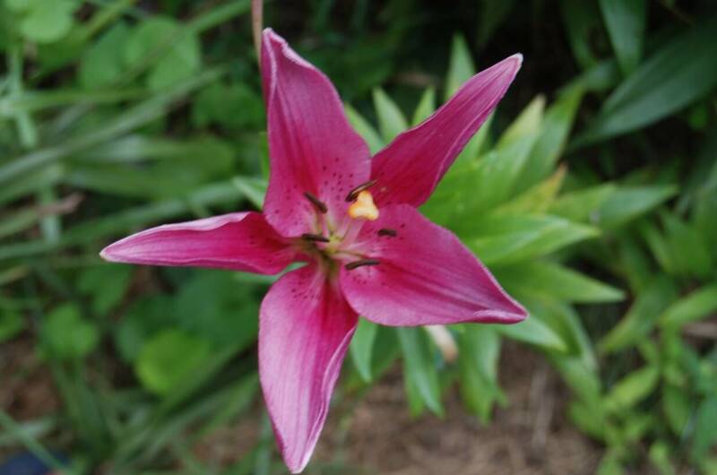 Однокомнатная квартира на Революции