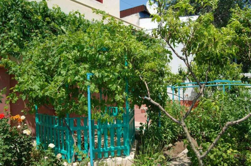 Однокомнатная квартира на Революции