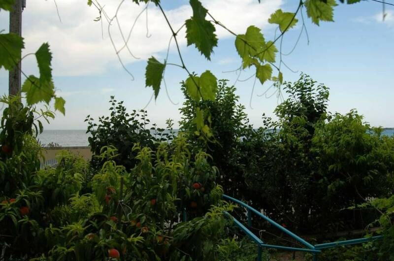 Однокомнатная квартира на Революции