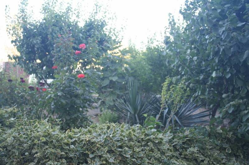 Гостевой дом «Крымские каникулы»