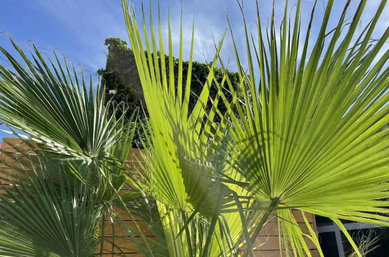 Апарт-отель «Аура Крым»