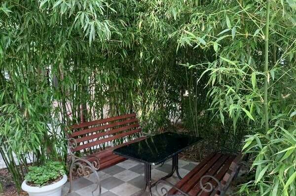 Гостевой дом «Берег Крыма»