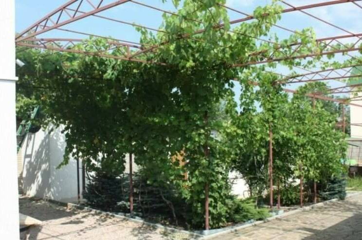 Гостевой дом «Николас»