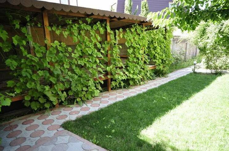 Гостевой дом «Пчелка Майя»